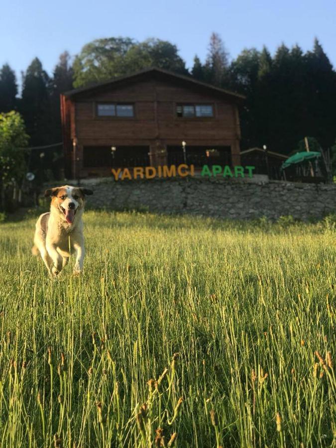 Ayder Yardimci Apart Extérieur photo