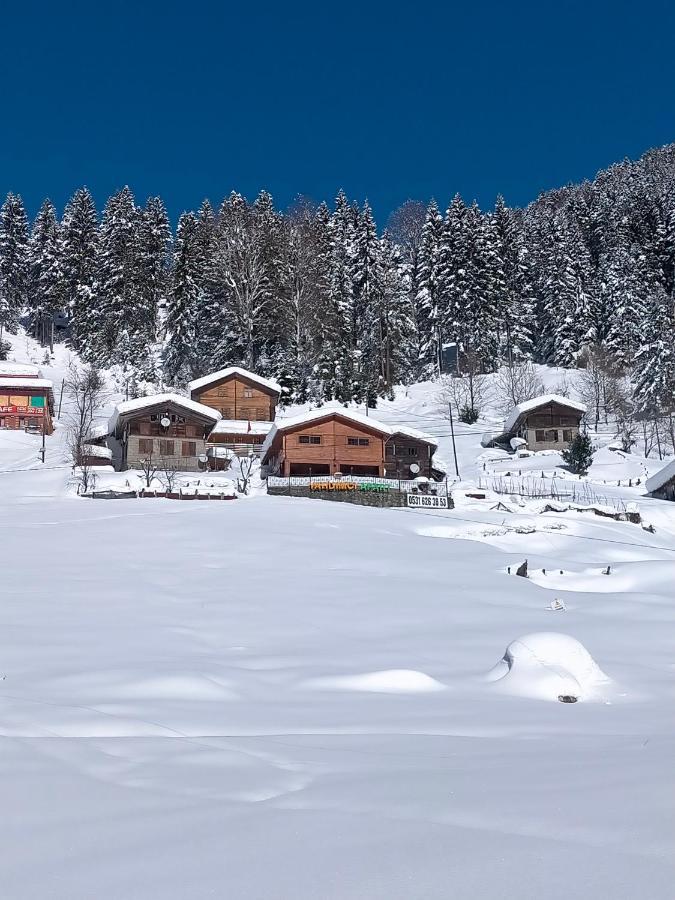 Ayder Yardimci Apart Extérieur photo