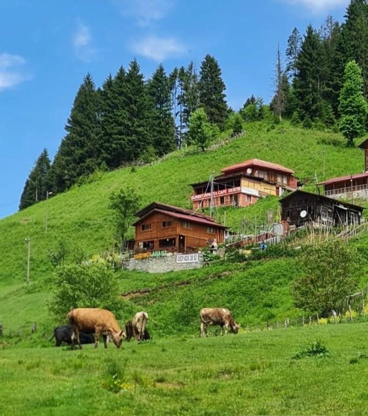 Ayder Yardimci Apart Extérieur photo